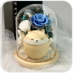 永生花盅（柴犬款）